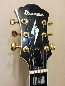 Ibanez PM 120_102613